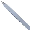 Kép 3/4 - Kaukázusi nyárs Standard 60cm
