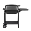 Kép 1/5 - PK Grills &amp; Smoker Original PK 300 Grafitszürke