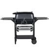 Kép 5/8 - PK Grills & Smoker PK 300 Franklin edition grafit