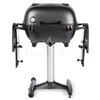 Kép 5/7 - PK Grills & Smoker PK360 The Graphite