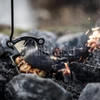 Kép 7/7 - Petromax öntöttvas krumplisütő