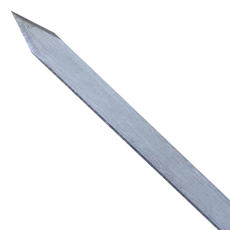 Kaukázusi nyárs Standard 60cm